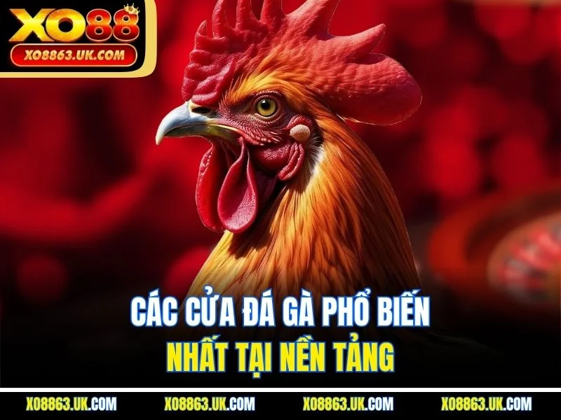 Các cửa đá gà phổ biến nhất tại nền tảng