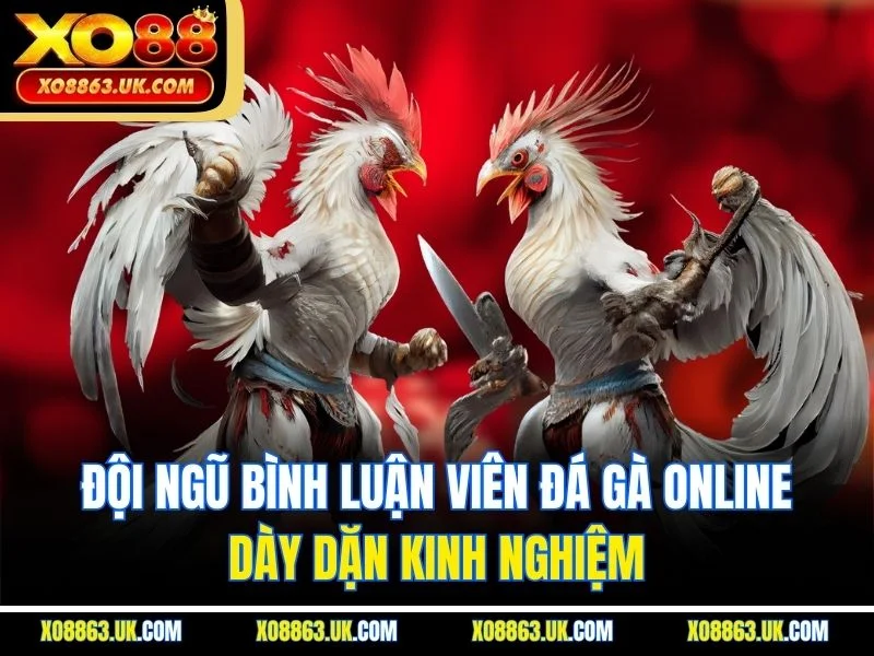 Đội ngũ bình luận viên đá gà online dày dặn kinh nghiệm