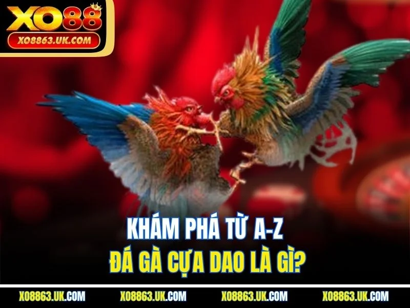 Khám phá từ A–Z đá gà cựa dao là gì?