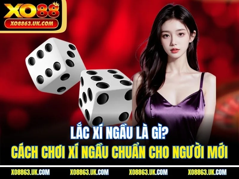 Lắc Xí Ngầu Là Gì? Cách Chơi Xí Ngầu Chuẩn Cho Người Mới